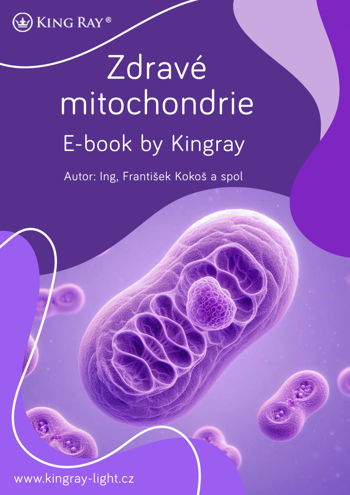 Vše o mitochondriích a souvislost s rakovinou (e-book)